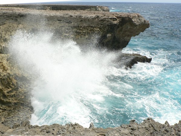 24- Le blow-hole 